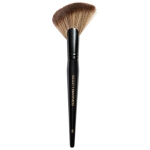 Scott Barnes | #66 The Powder Sheer Brush